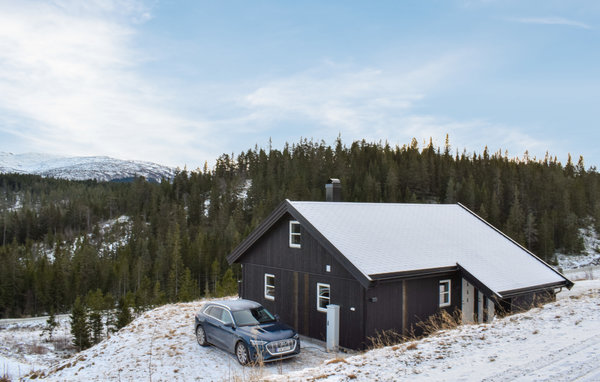 Domy wakacyjne - Himlesdalen/Voss , Norwegia - N20428 8