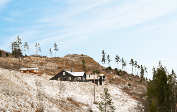 Domy wakacyjne - Himlesdalen/Voss , Norwegia - N20428 9