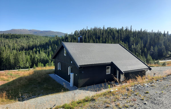 Domy wakacyjne - Himlesdalen/Voss , Norwegia - N20428 82