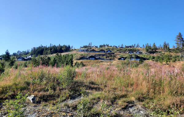 Domy wakacyjne - Himlesdalen/Voss , Norwegia - N20428 102