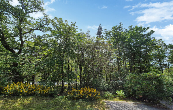 Vakantiehuis - Sør Kvingo , Noorwegen - N20497 101