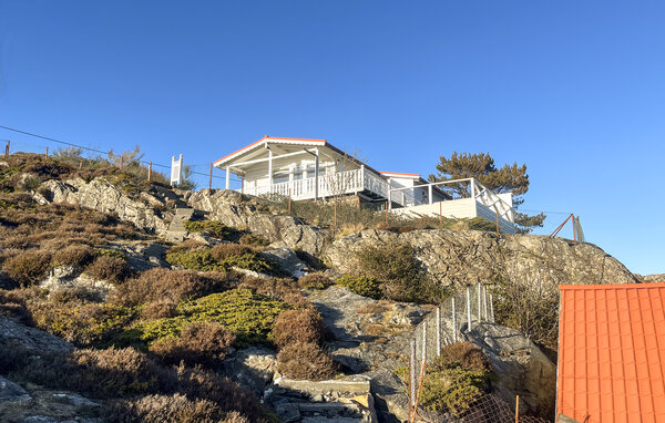 Feriehus - Fjell , Norge - N20508 83