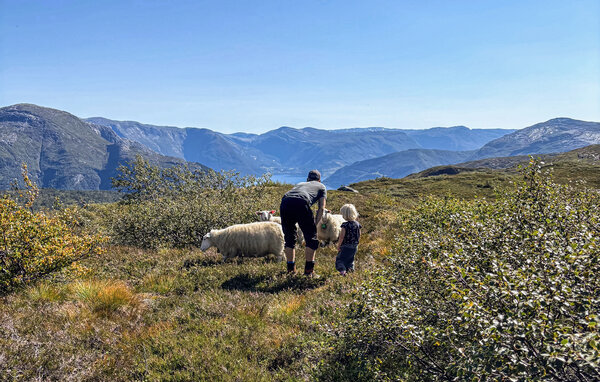 Ferienwohnung - Voss , Norwegen - N20549 6