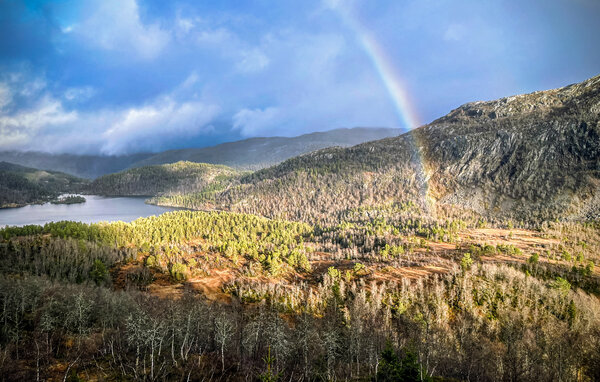 Ferienwohnung - Voss , Norwegen - N20549 901