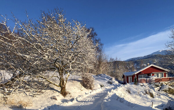 Ferienhaus - Sognefjorden , Norwegen - N21951 83