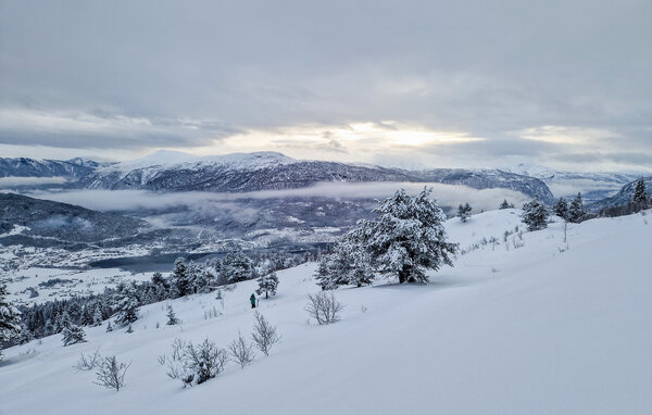Feriehus - Hafslo/Luster , Norge - N23953 905