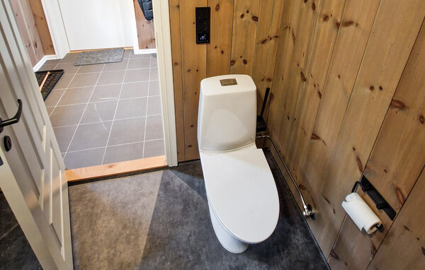 Feriehus - Hafslo/Luster , Norge - N23953 703