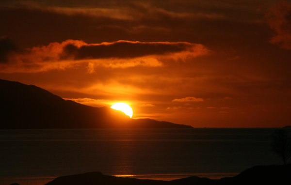 Lejlighed - Svortevik , Norge - N24099 909