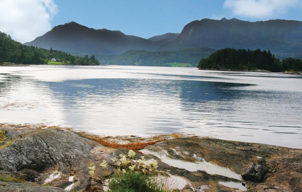 Feriehus - Flekke/Fjaler , Norge - N24102 201