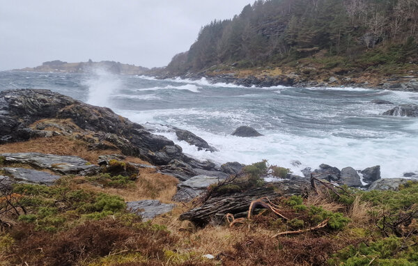Feriehus - Tansøy / Florø , Norge - N24130 909
