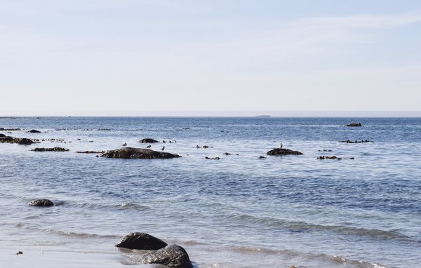 Appartamento - Giske , Norvegia - N27159 908