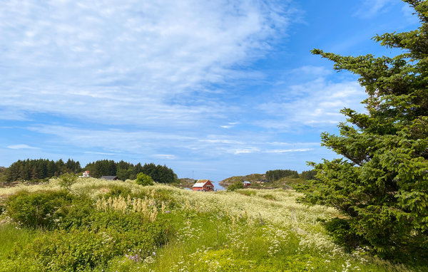 Feriehus - Smøla , Norge - N29277 9