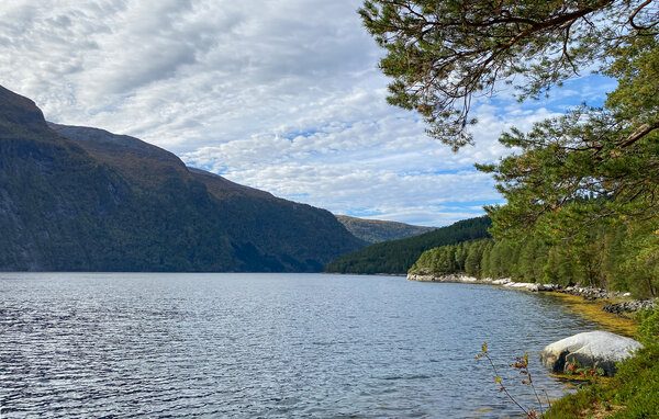 Semesterhus - Todalen , Norge - N29285 901