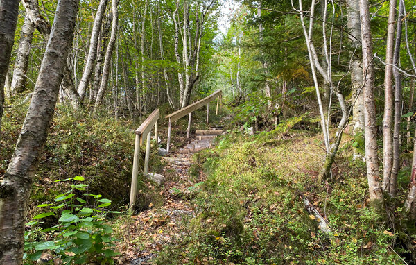 Semesterhus - Todalen , Norge - N29285 102