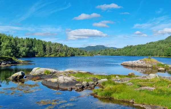 Ferienwohnung - Kvisvik , Norwegen - N29292 901