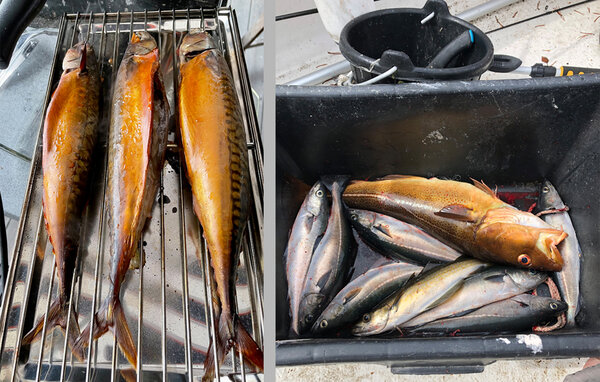 Holiday Home - Øydegard/Tingvoll , Norway - N29294 901