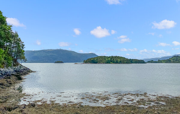 Feriehus - Øydegard/Tingvoll , Norge - N29297 203