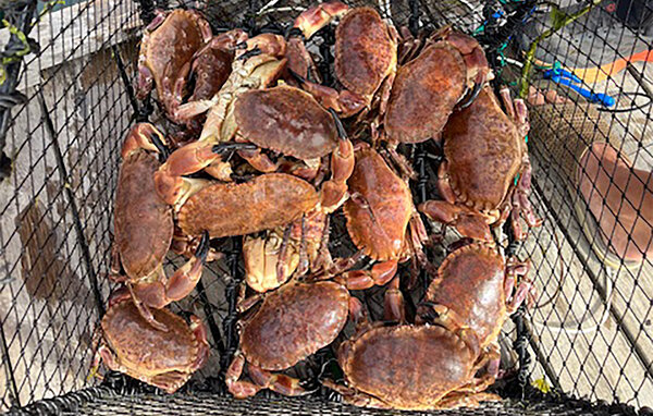 Ferienhaus - Averøy , Norwegen - N29298 104