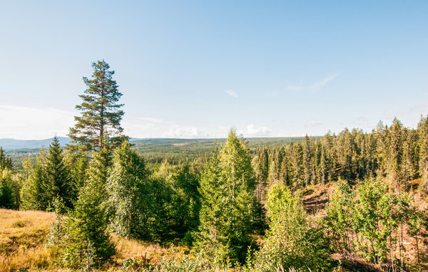 Domy wakacyjne - Birkenåsen/Rena , Norwegia - N30062 201