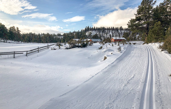 Ferienhaus - Savalen , Norwegen - N30069 103