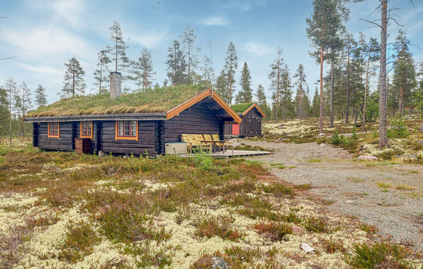 Foto: Rendalen, Sølen - Berggebied