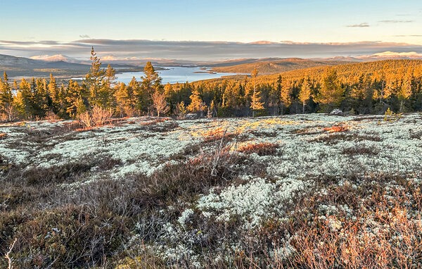 Feriehus - Isterfossen/Engedal , Norge - N30131 906