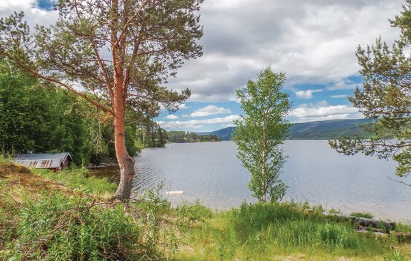 Vakantiehuis - Renåfjellet/Rendalen , Noorwegen - N30143 3