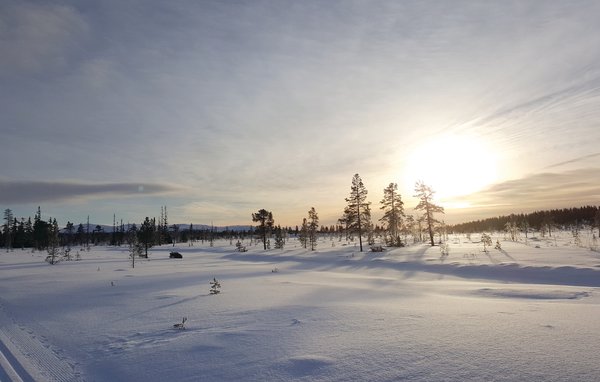 Vakantiehuis - Renåfjellet/Rendalen , Noorwegen - N30143 901