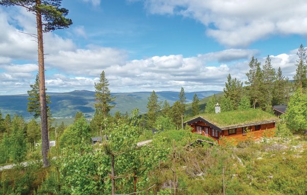 Vakantiehuis - Renåfjellet/Rendalen , Noorwegen - N30143 903