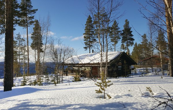 Vakantiehuis - Renåfjellet/Rendalen , Noorwegen - N30143 81