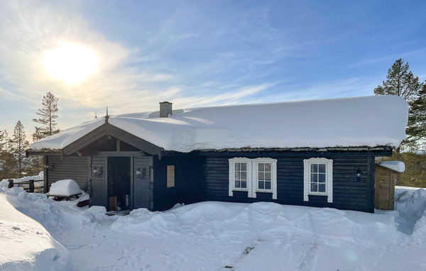 Holiday Home - Renåfjellet/Rendalen , Norway - N30162 2