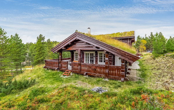 Holiday Home - Folldal , Norway - N30169 82