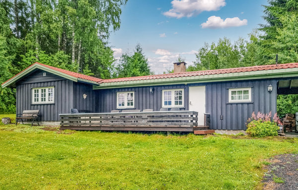 Domy wakacyjne - Bukkeneset/Nord-Odal , Norwegia - N30175 81