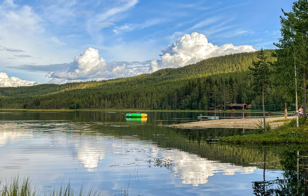 Ferienhaus - Koppang , Norwegen - N30192 901