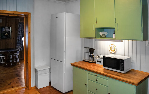 Domy wakacyjne - Flisa , Norwegia - N30240 6