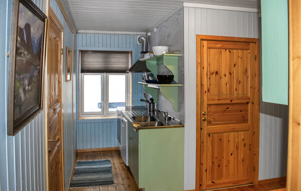 Domy wakacyjne - Flisa , Norwegia - N30240 5