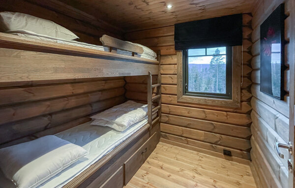 Ferienhaus - Koppang , Norwegen - N30263 601