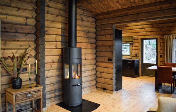 Ferienhaus - Koppang , Norwegen - N30263 5