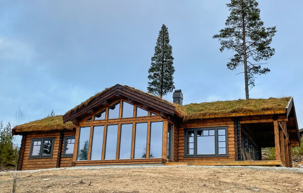 Ferienhaus - Koppang , Norwegen - N30263 81