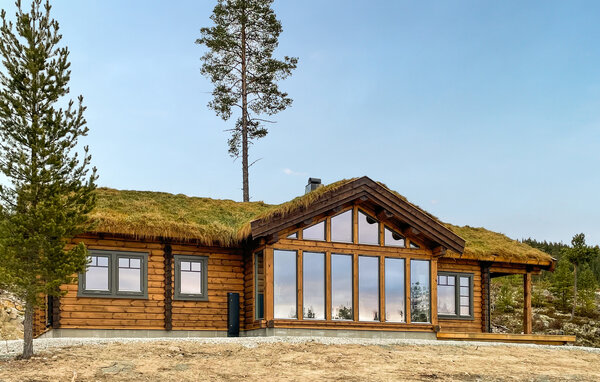 Ferienhaus - Koppang , Norwegen - N30263 2