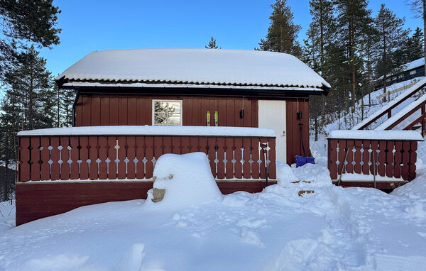 Semesterhus - Renåfjellet/Rendalen , Norge - N30270 1