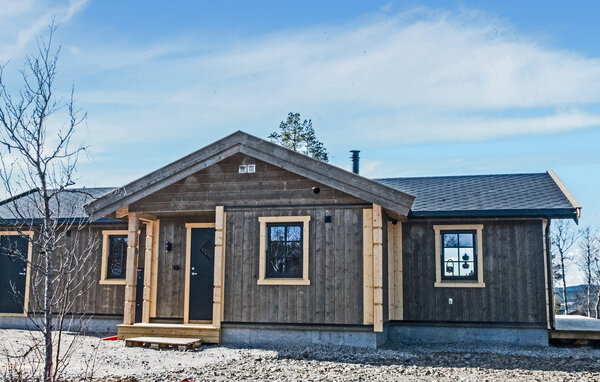Ferienhaus - Hovden hyttefelt , Norwegen - N30275 1