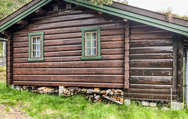 Ferienhaus - Savalen , Norwegen - N30276 81