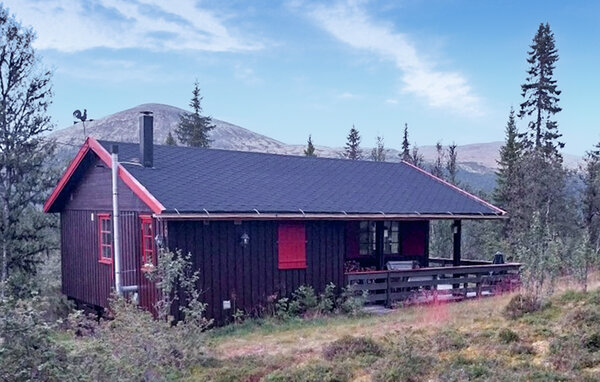 Feriehus - Brydal, Tynset , Norge - N30282 1