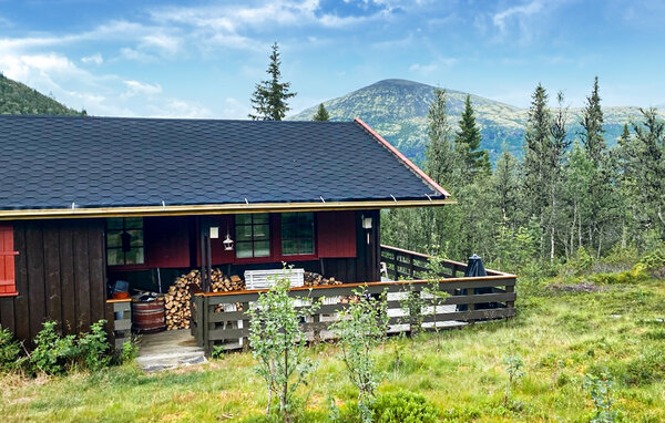 Feriehus - Brydal, Tynset , Norge - N30282 81
