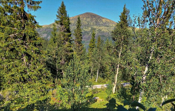 Feriehus - Brydal, Tynset , Norge - N30282 6