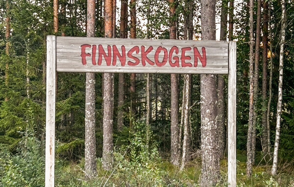 Domy wakacyjne - Finnskogen/Skasenden , Norwegia - N30283 801