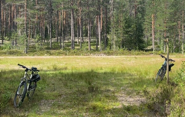 Domy wakacyjne - Finnskogen/Skasenden , Norwegia - N30283 7