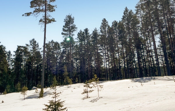 Domy wakacyjne - Finnskogen/Skasenden , Norwegia - N30283 901