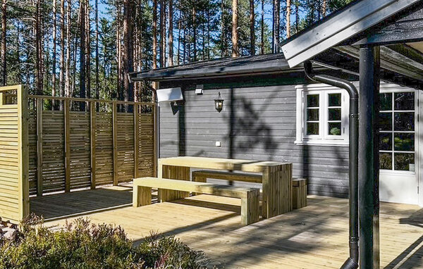 Domy wakacyjne - Finnskogen/Skasenden , Norwegia - N30283 2